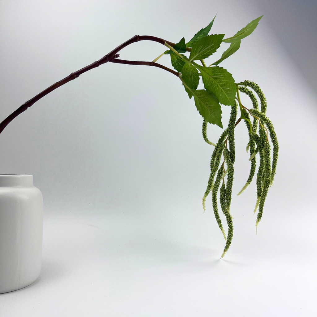 White vase with an amaranthus branch and leaves on a light gray background