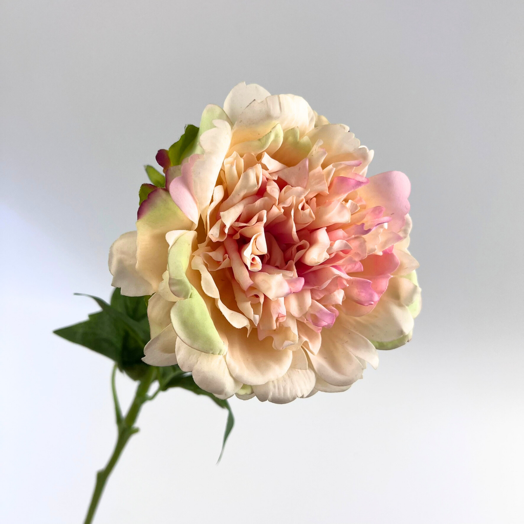 Real Touch Peony Pink Peach
