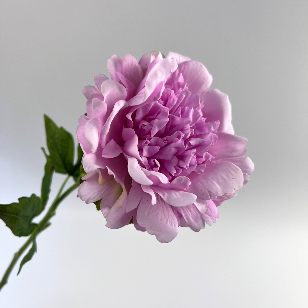 Real Touch Peony White Pink