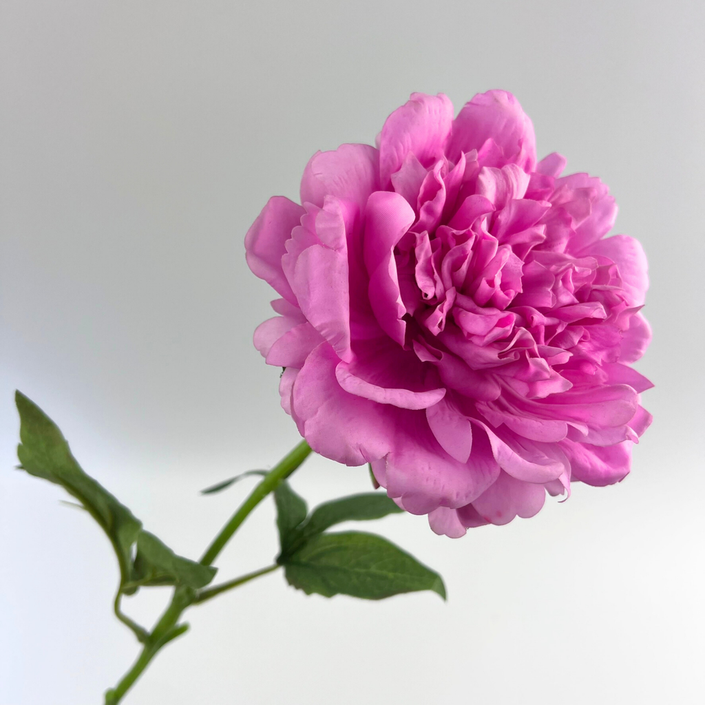 Real Touch Peony Pink