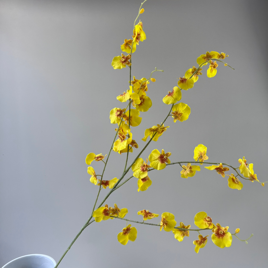 Dancing Orchid Real Touch Yellow