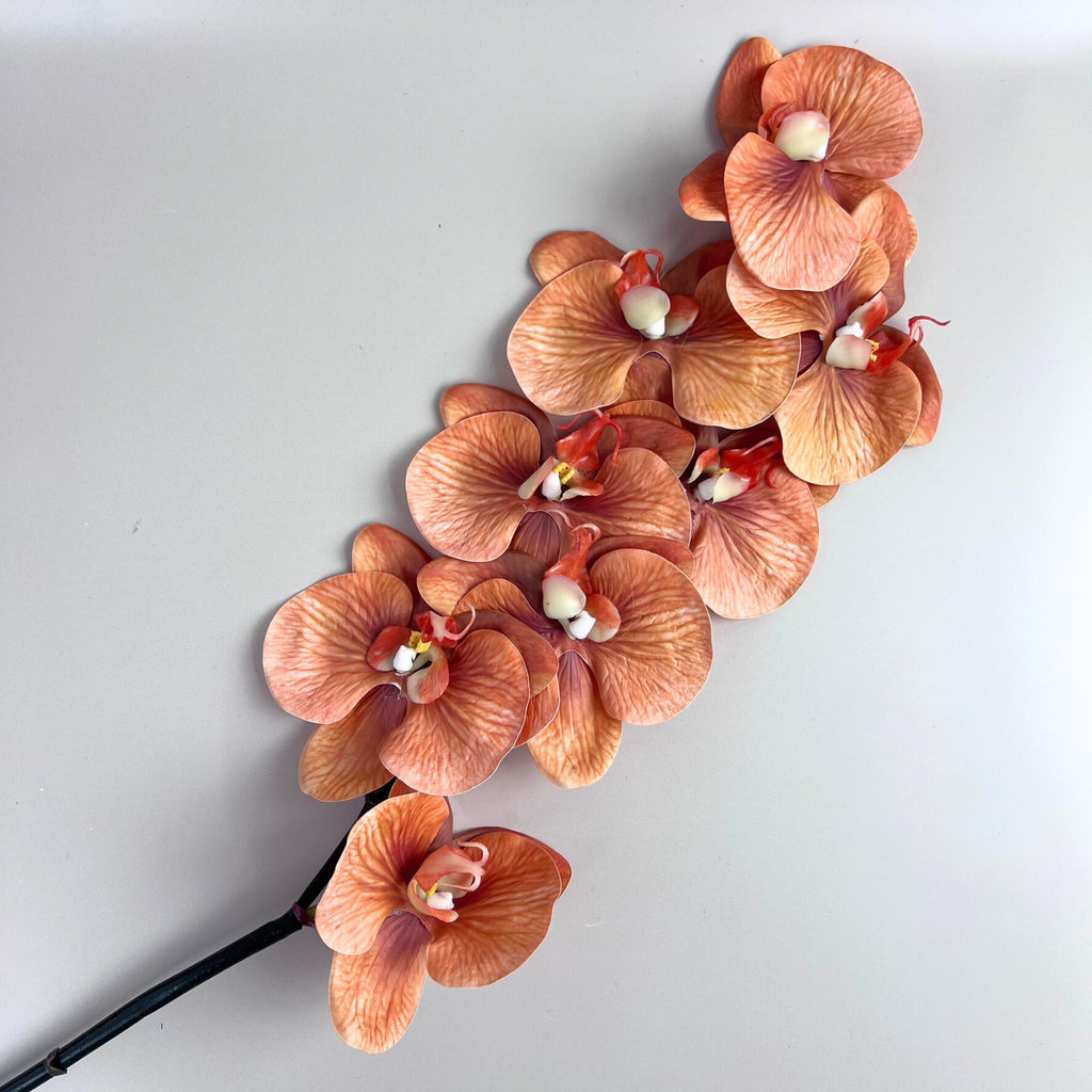 Real Touch Burnt Orange Moth Orchid