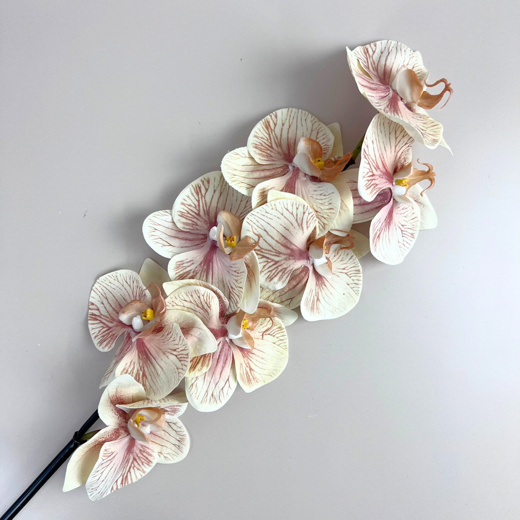Real Touch Mocha Moth Orchid