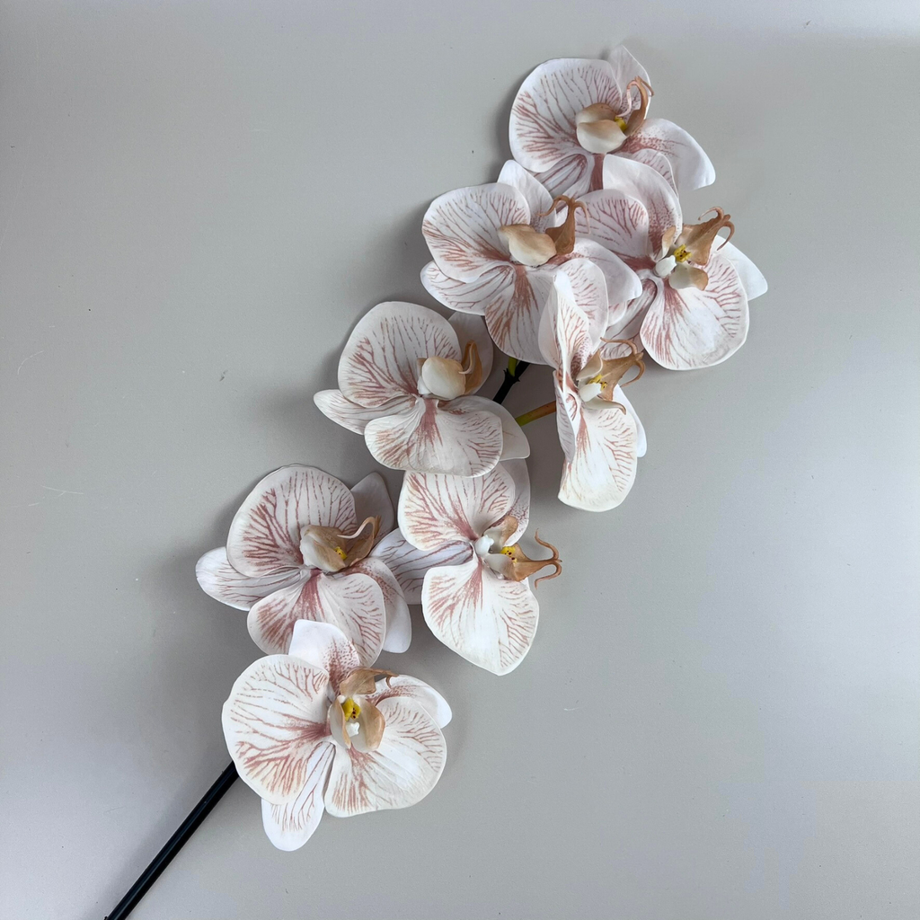 Real Touch Ivory Moth Orchid