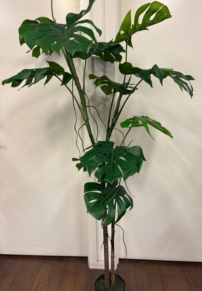 Real Touch Monstera Liana - 200cm