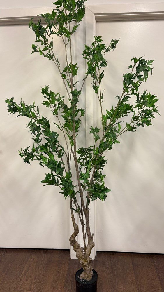 Real Touch Japanese Maple - 210cm