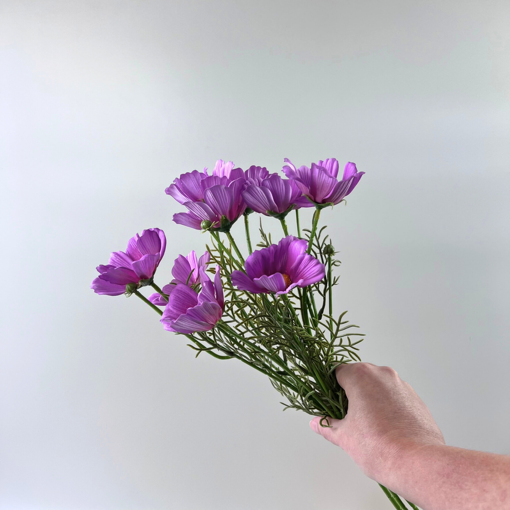 Hand holding a bouquet of faux pink and purple Cosmos flowers against a plain background