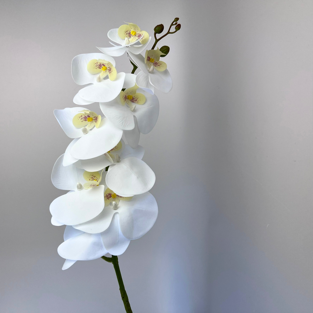 An artificial real touch white orchid phalaenopsis stem on a white background