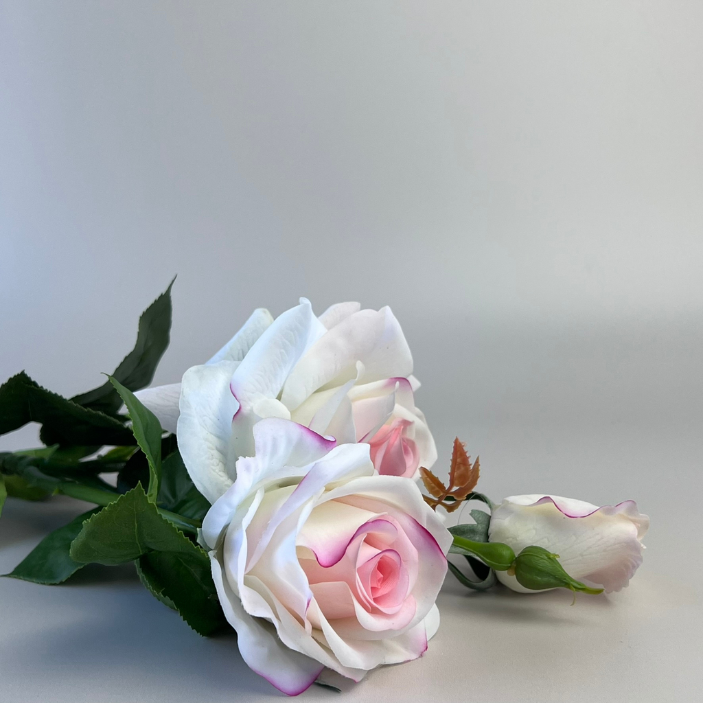 Artificial Real Touch cream pink rose with green leaves on a white  background