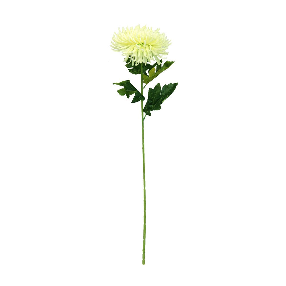 Artificial Spider Mum Stem 70cm - GREEN