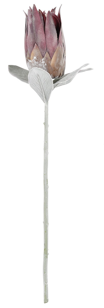 65cm Artificial Queen Protea stem with rich chocolate-toned petals and muted foliage against a plain white background.