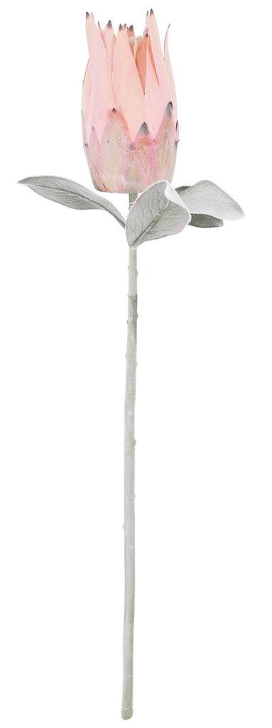 65cm Artificial Queen Protea stem with soft pink petals and muted foliage against a white background.
