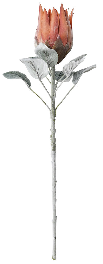 King Protea Burnt Orange 75cm