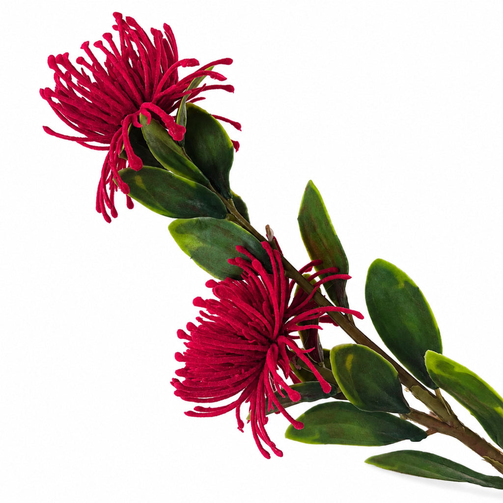 Pincushion Crimson Red 68cm