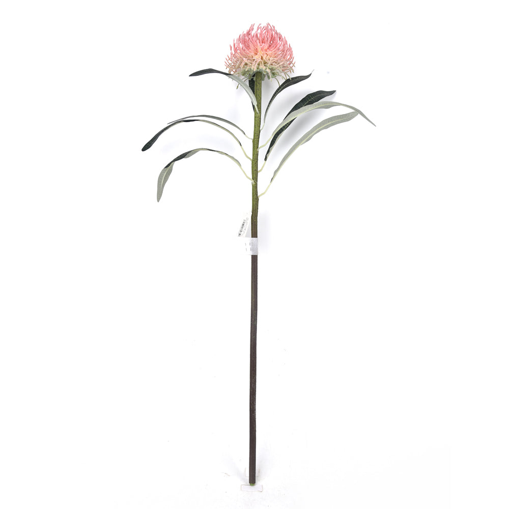 Waratah Dusty Pink 67cm