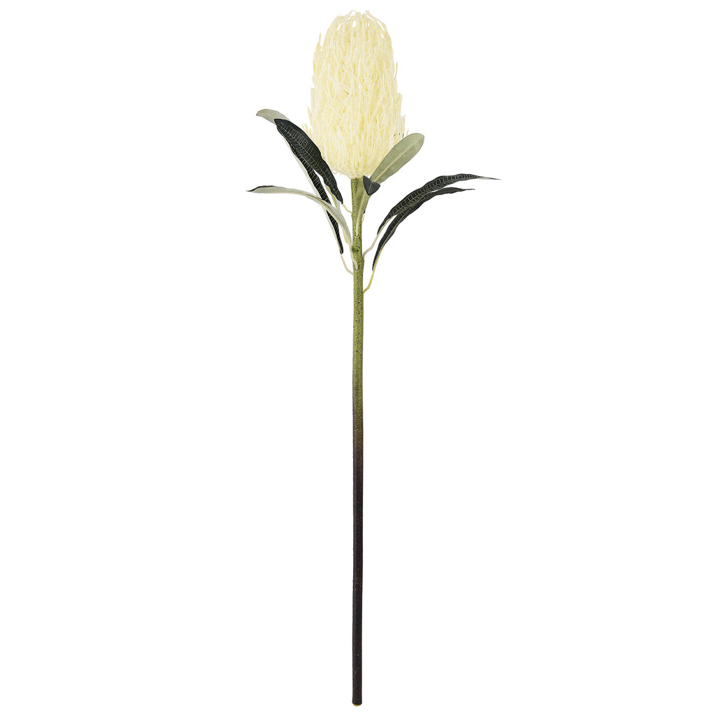 76cm native Australian Banksia Ashbyi artificial floral stem in ivory against a white background.