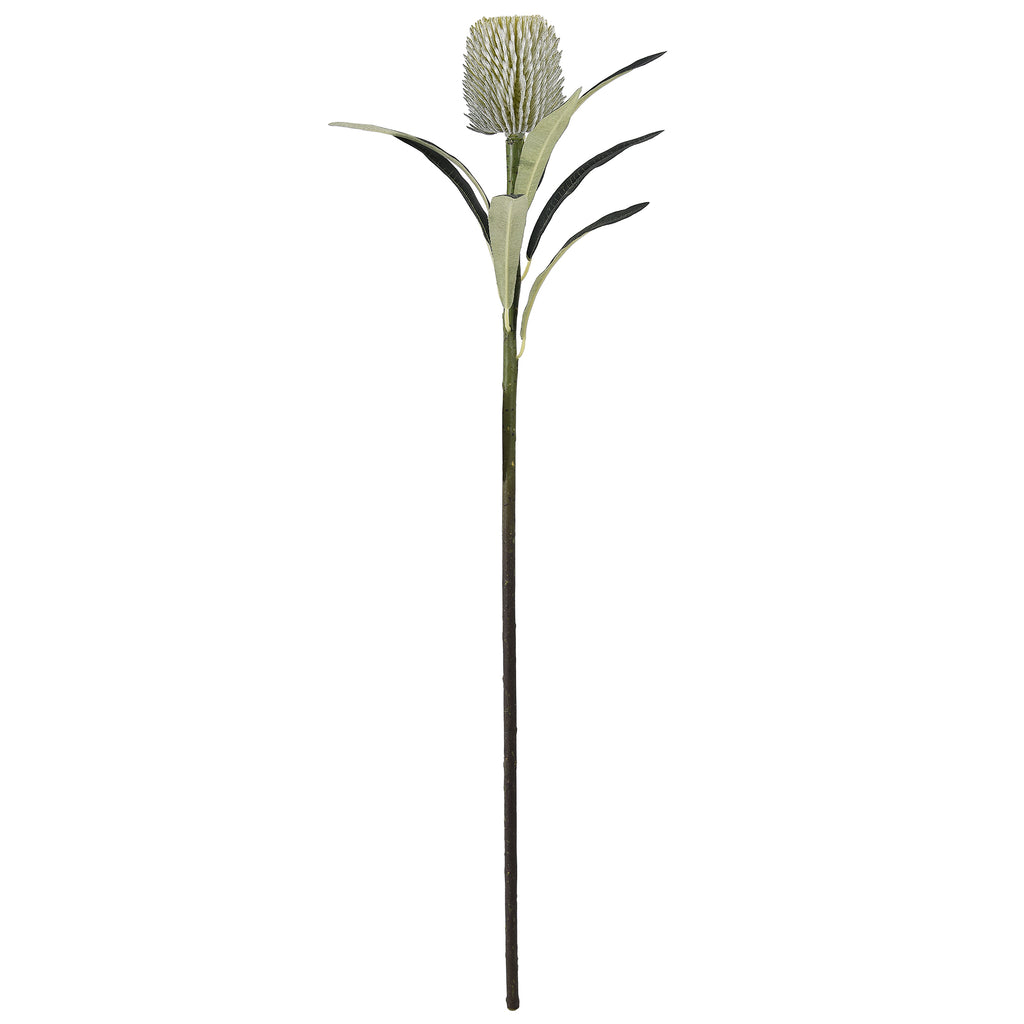 65cm Artificial Banksia Epica stem with a soft sage green foliage against a plain white background.