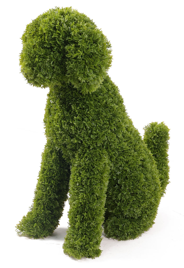 Topiary Cypress Dog 60cm