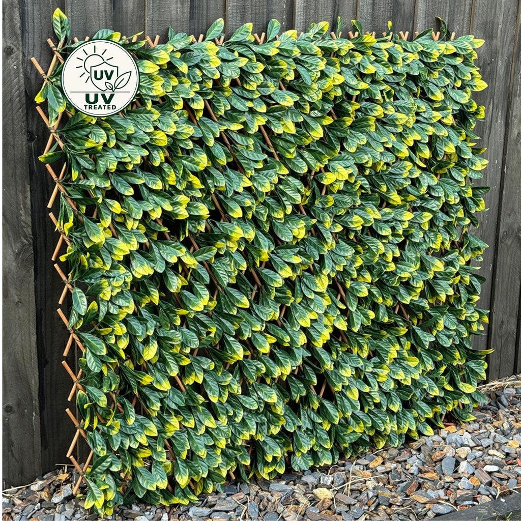 Expanding Trellis (UV Treated) - Green Photinia 180x90cm