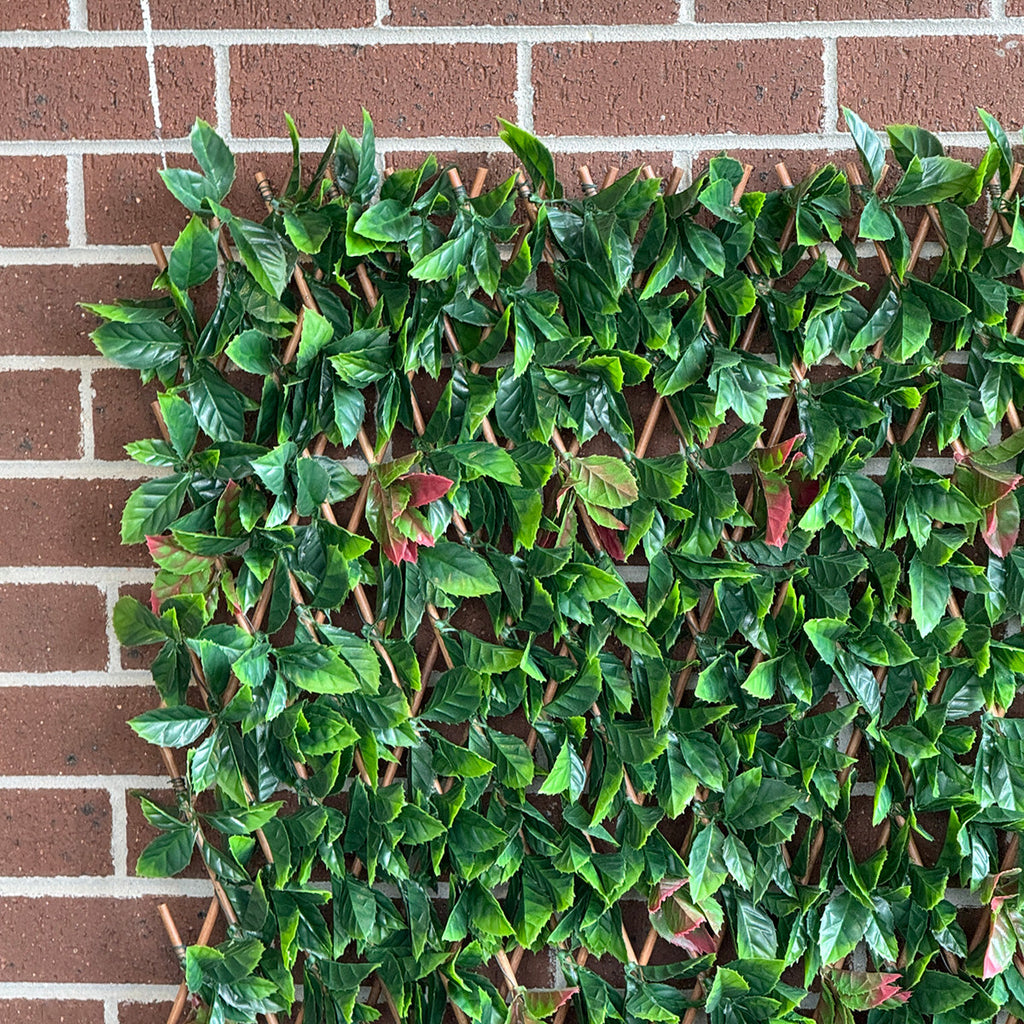 fake hedge wall