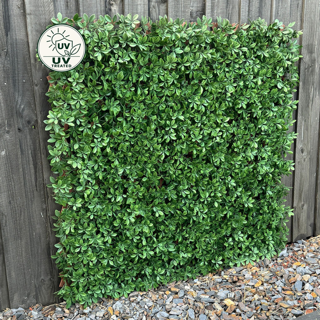 Expanding Trellis (UV Treated) - Barberry Dark Green 180x90cm