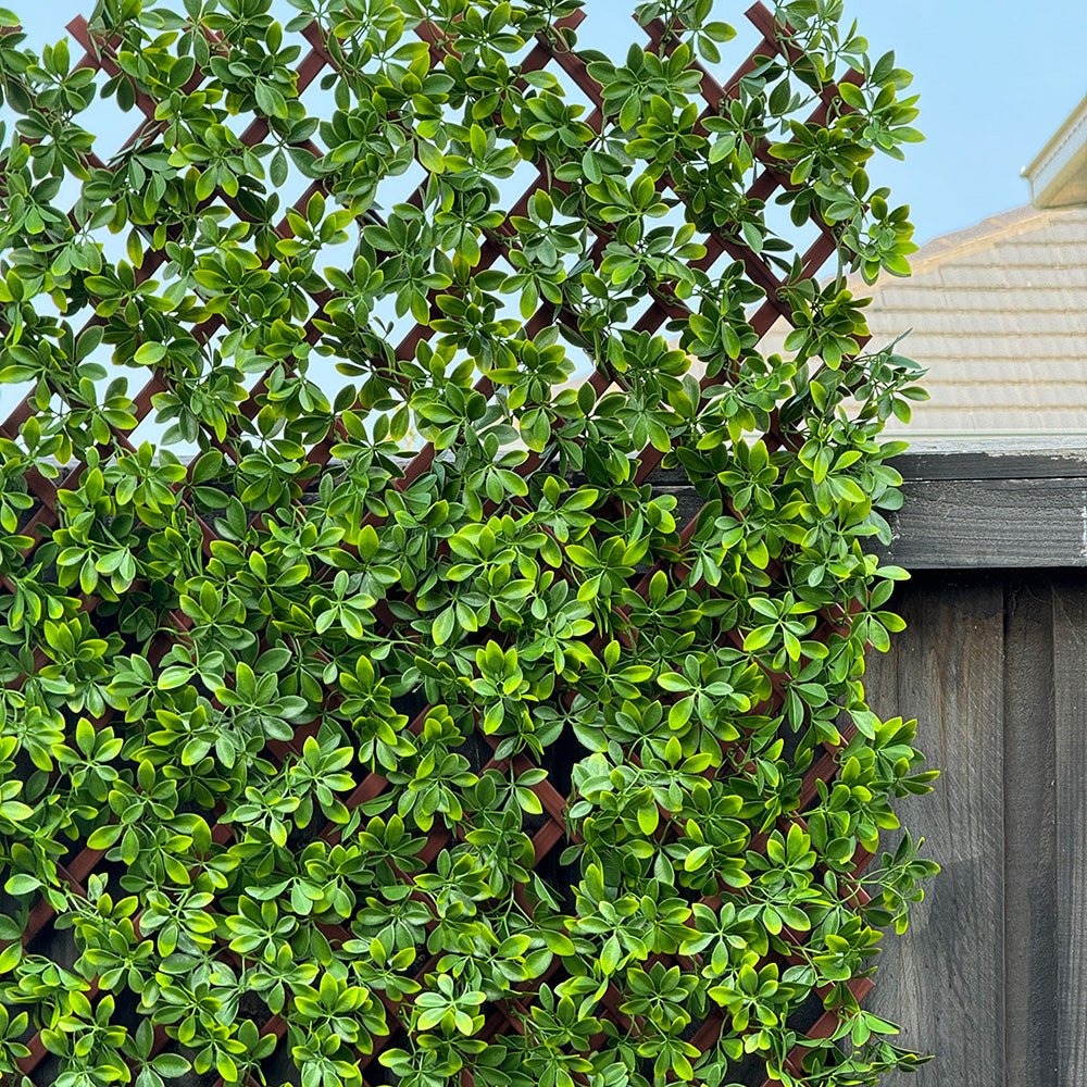 plant screen