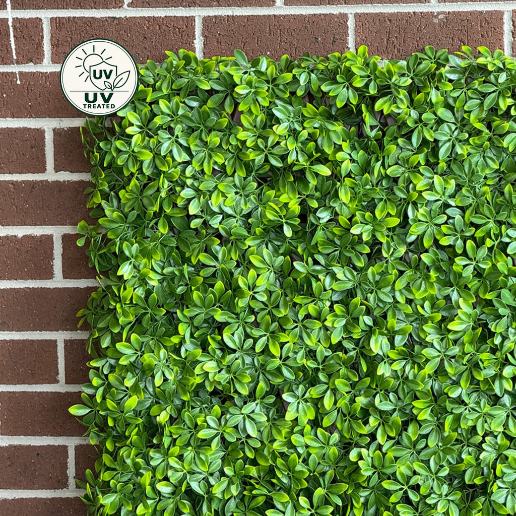 Expanding Trellis (UV Treated) - Barberry Light Green 180x90cm