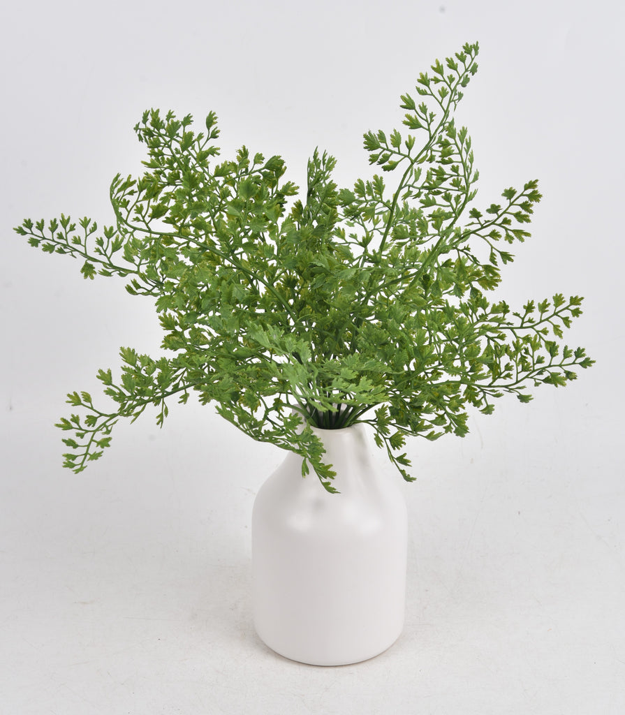Maidenhair Fern in White Vase 33cm