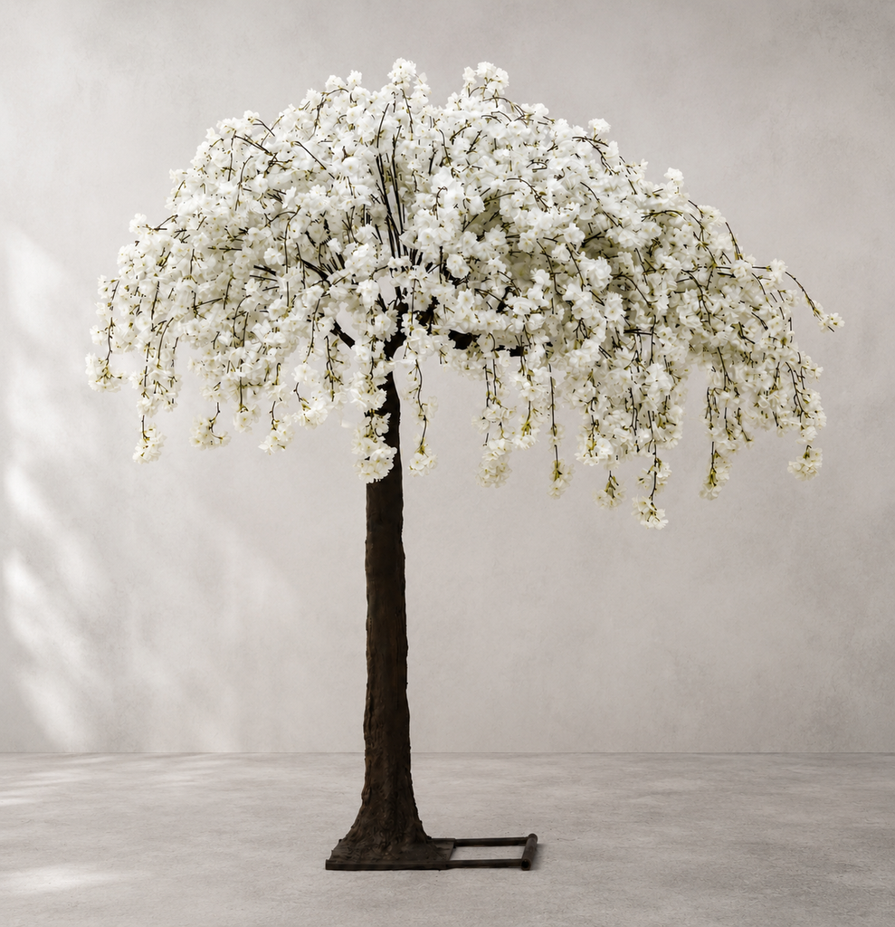 Weeping Cherry Blossom Tree 2.6m - White Waterfall